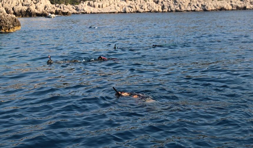 Antalya'da 'Aslan Balığı Avlama Yarışması' düzenlendi
