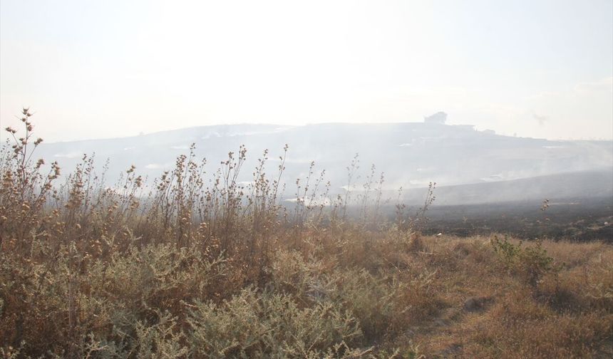 Antalya'da çıkan anız yangını kontrol altına alındı