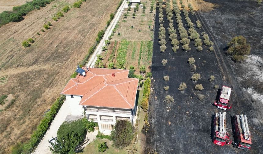 Antalya'da otluk alanda çıkan yangın villanın bahçesi ve tekneye zarar verdi