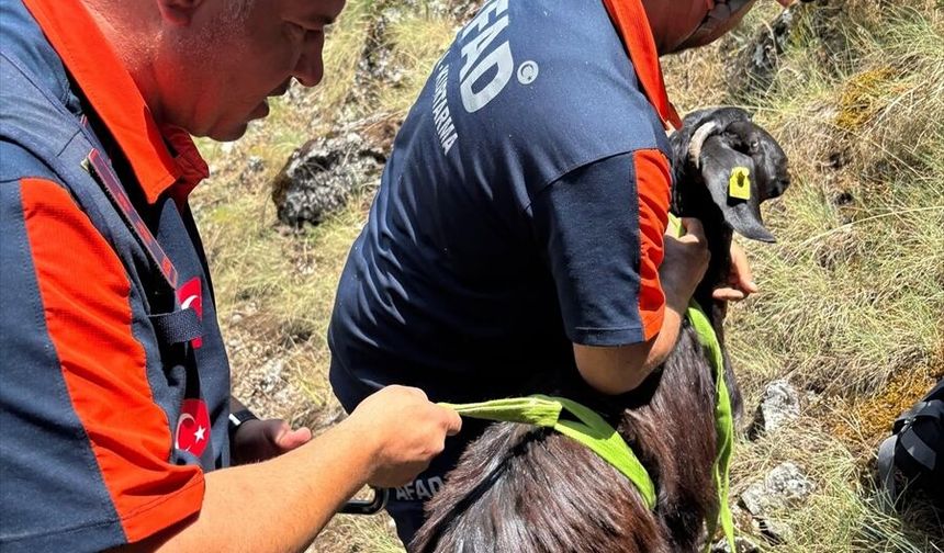 Burdur'da dağlık alanda mahsur kalan keçi kurtarıldı
