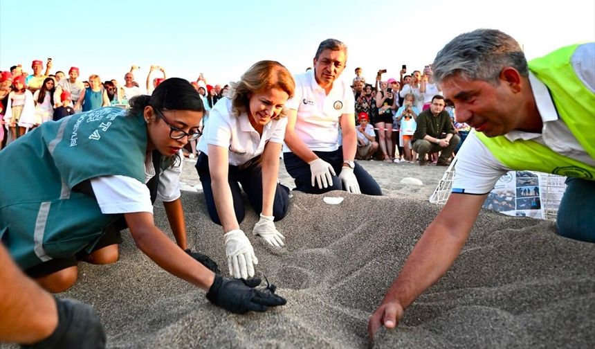 Çıralı Plajı'nda caretta caretta yavruları Mavi Akdeniz İnisiyatifi ile denize ulaştı