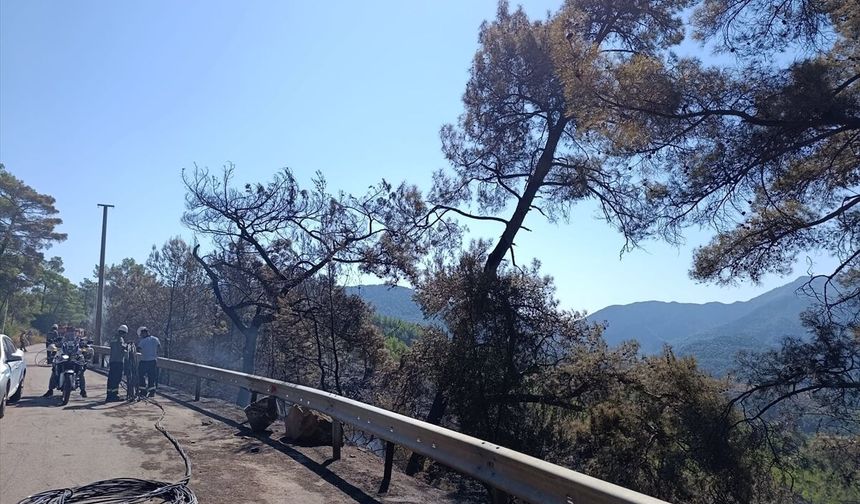 GÜNCELLEME 2 - Antalya'nın Kumluca ilçesinde çıkan orman yangını kontrol altına alındı
