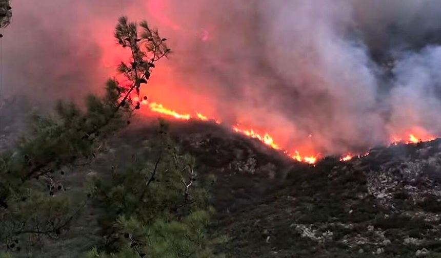GÜNCELLEME 2 - Kaş'taki orman yangınına ekiplerin karadan müdahalesi akşam saatlerinde de sürüyor
