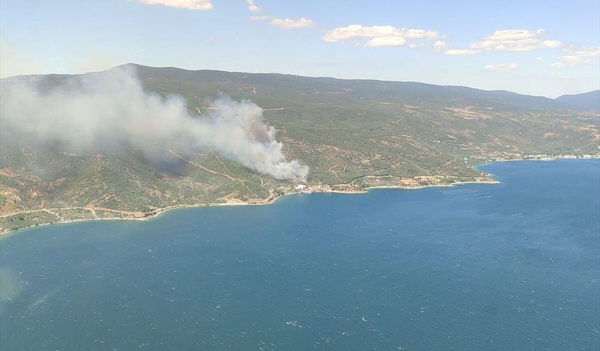GÜNCELLEME 2 - Yalova'da çıkan orman yangını kontrol altına alındı
