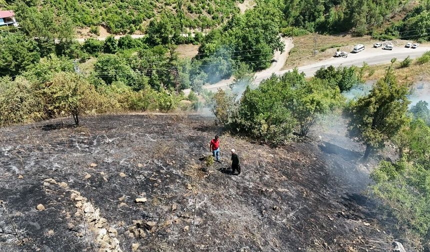 GÜNCELLEME - Adana'nın Feke ilçesinde çıkan orman yangını kontrol altında