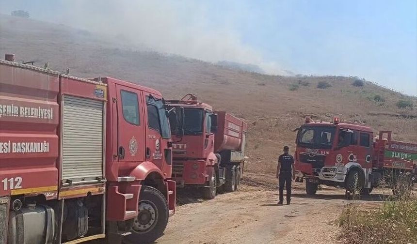 Hatay'da makilik alana sıçrayan anız yangını söndürüldü