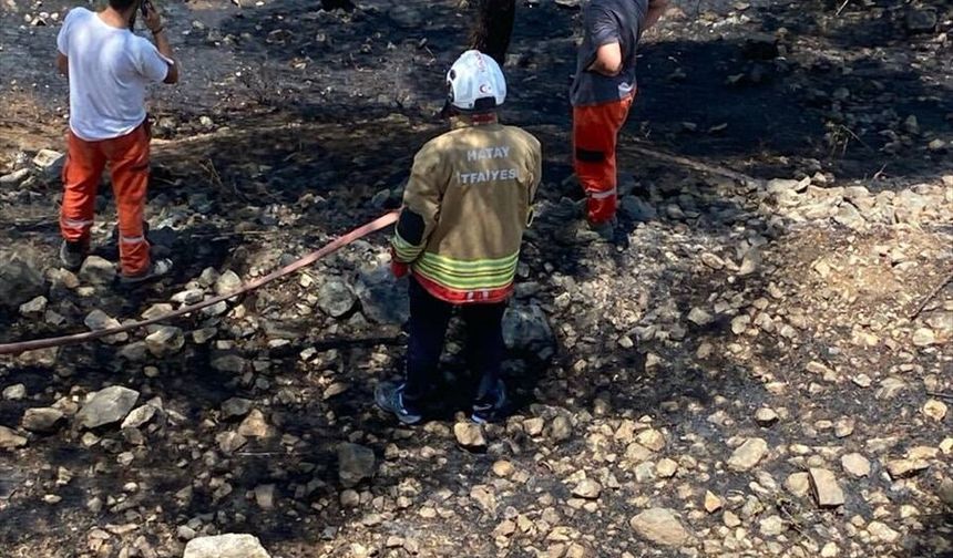 Kırıkhan ilçesinde çıkan örtü yangını söndürüldü