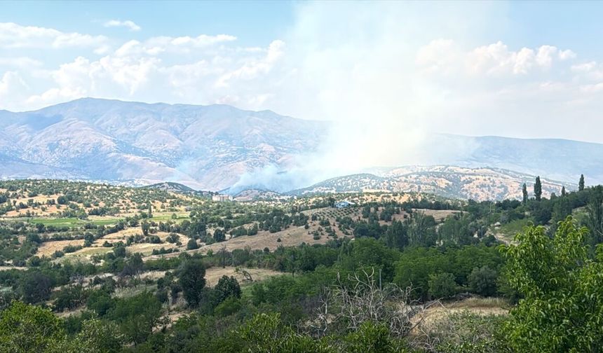 Malatya'nın Pütürge ilçesindeki orman yangını söndürüldü