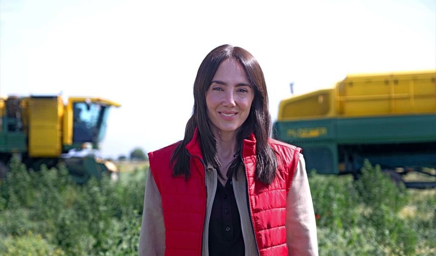 SuperFresh'in hasat edilen sebzeleri IQF teknolojisiyle sofralara ulaşıyor
