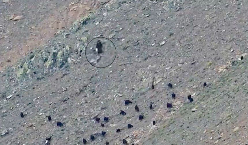Kahramanmaraş’ta Berit Dağı’nda mahsur kalan kadın kurtarıldı