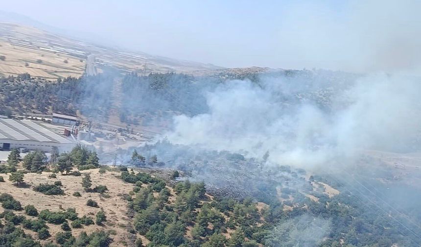 Kahramanmaraş’ta orman yangını kontrol altına alındı