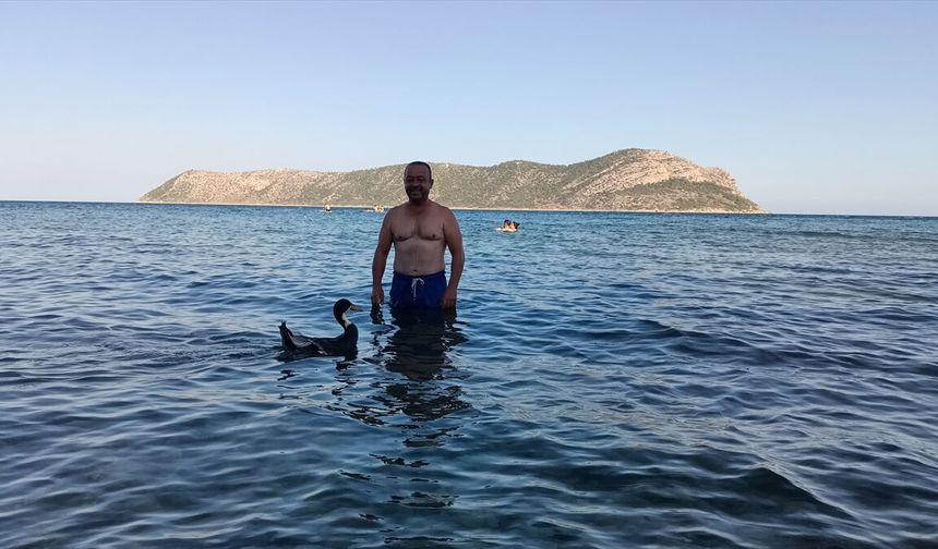 7 yıl önce sahiplendiği ördek 'Moli' ile Akdeniz'in mavi sularında tatil yapıyor