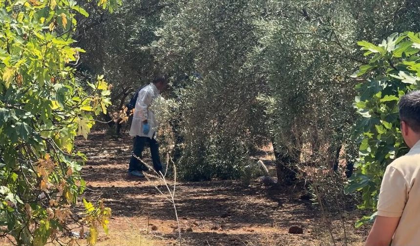 Antalya'da zeytinlik alanda elleri arkadan bağlı olan bir genç ölü olarak bulundu
