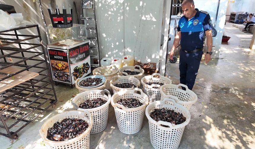 Mersin'de ele geçirilen 200 kilogram bozuk midye dolma imha edildi