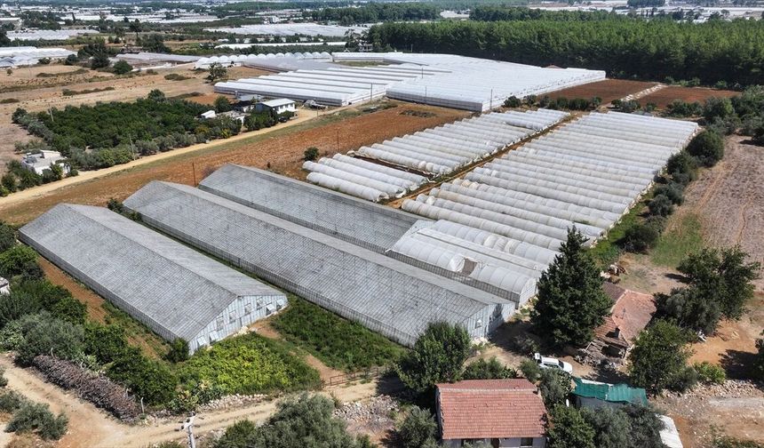 Antalya'da 200 bin dekarlık alandaki seralarda dönüşüm hamlesi