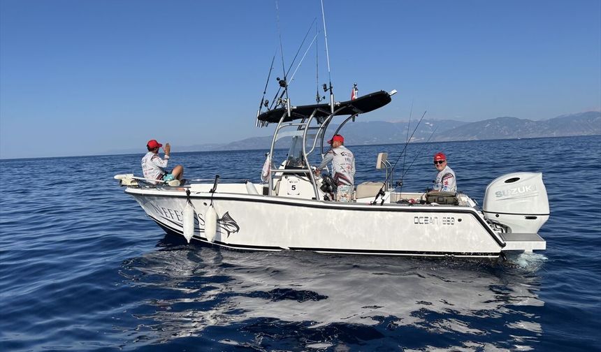 Antalya'da balıkçılar en büyük balığı tutmak için yarışıyor