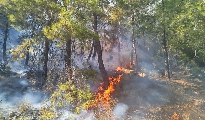 Antalya'da ormanlık alanda çıkan yangına müdahale ediliyor