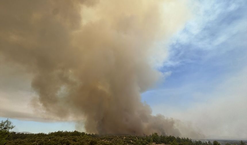 Antalya'da ormanlık alandaki yangına müdahale sürüyor
