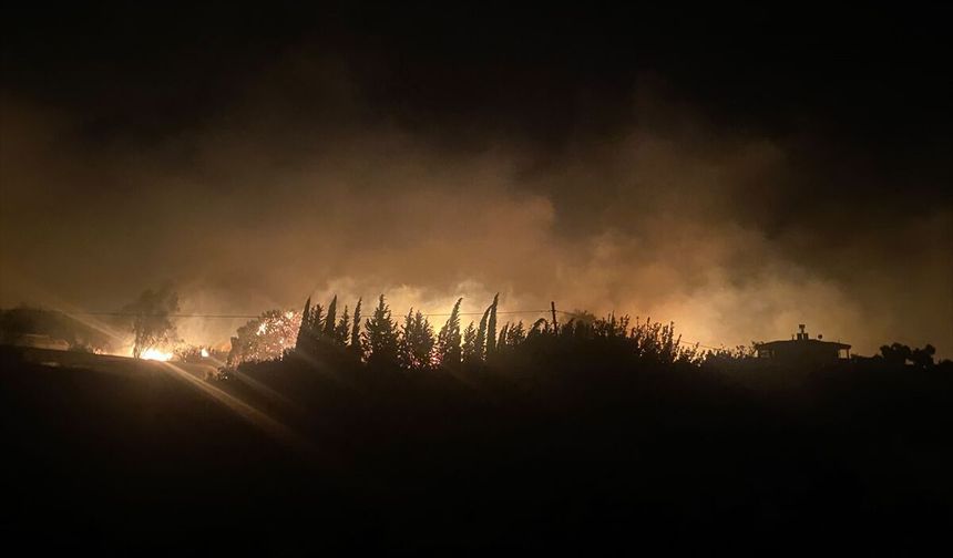 Antalya'da ormanlık ve tarım arazilerinin bulunduğu alanda çıkan yangına müdahale ediliyor