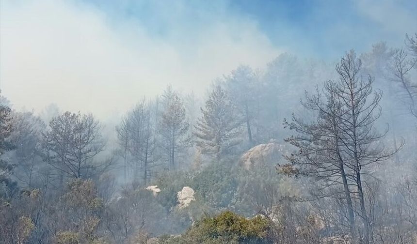 Burdur'da çıkan orman yangınına havadan ve karadan müdahale ediliyor