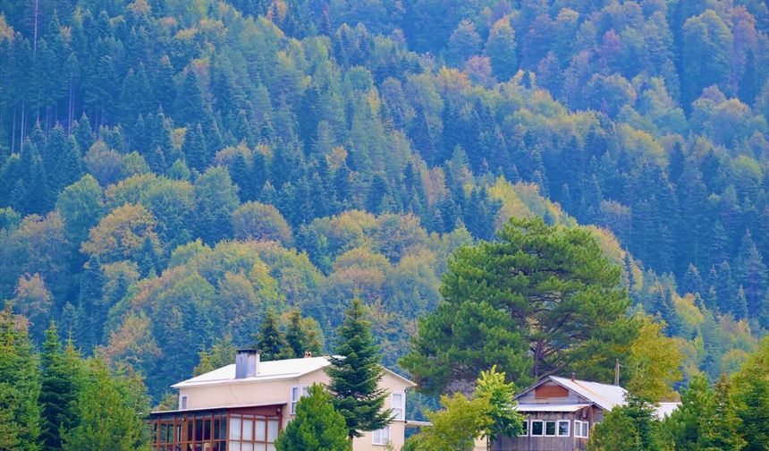 Düzce'de sonbahar renkleri kendini gösterdi