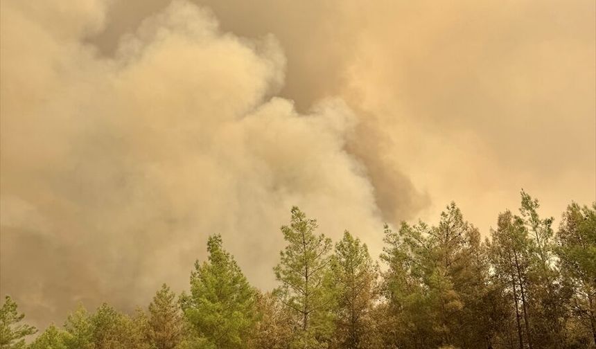 GÜNCELLEME 3 - Antalya'da ormanlık alandaki yangına müdahale sürüyor