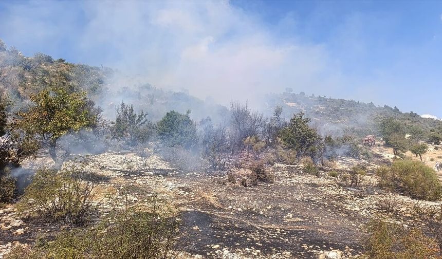 Mersin'de bahçelerin arasında çıkan yangın kontrol altına alındı