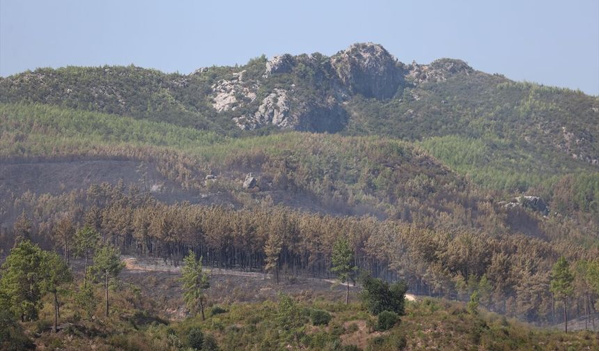 Orman Genel Müdürlüğü: Antalya'nın Serik ilçesindeki yangının enerjisini düşürdük