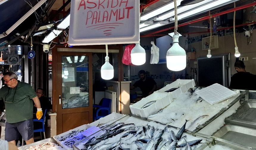Sinop'ta 'askıda palamut' uygulaması başlatıldı